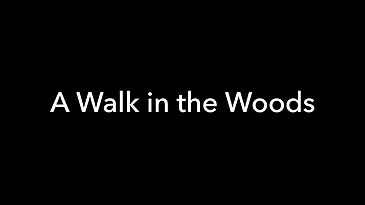 13) A Walk in the Woods